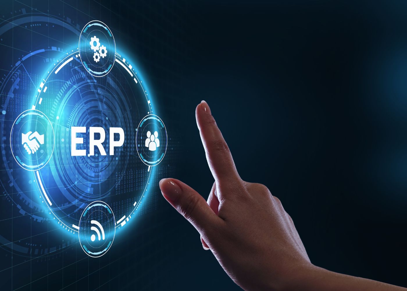 ERP Services